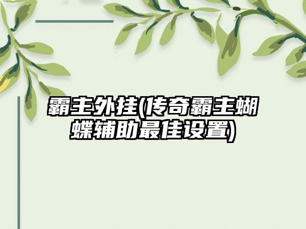 霸主外挂(传奇霸主蝴蝶辅助最佳设置)