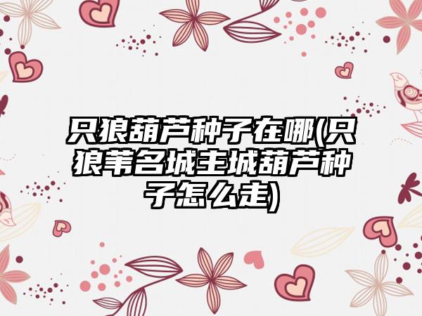 只狼葫芦种子在哪(只狼苇名城主城葫芦种子怎么走)