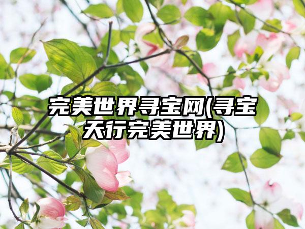 完美世界寻宝网(寻宝天行完美世界)