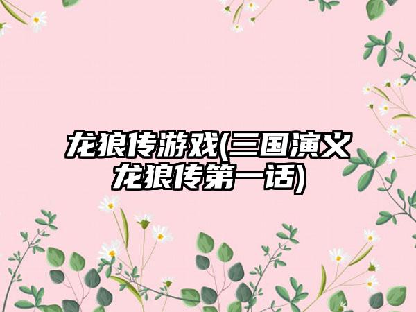 龙狼传游戏(三国演义龙狼传第一话)
