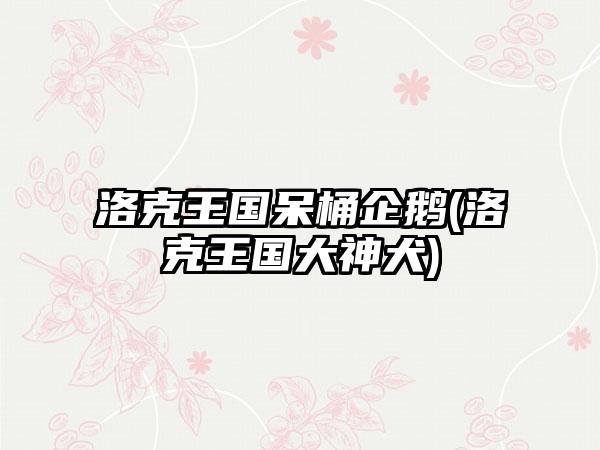 洛克王国呆桶企鹅(洛克王国大神犬)