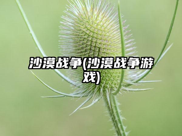 沙漠战争(沙漠战争游戏)