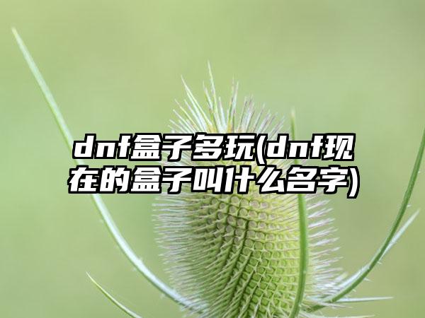 dnf盒子多玩(dnf现在的盒子叫什么名字)