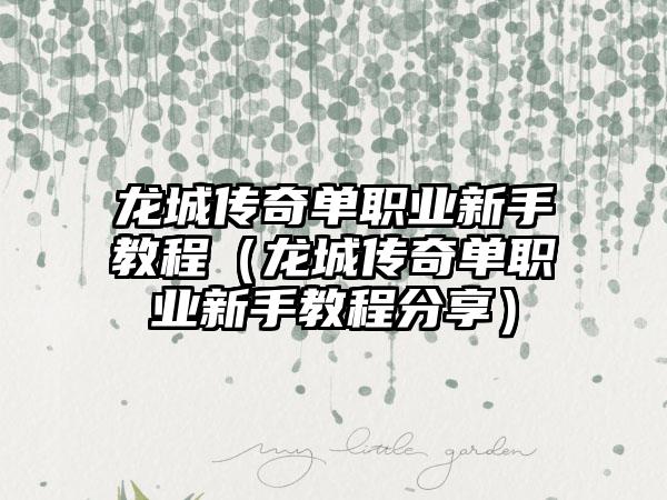 龙城传奇单职业新手教程（龙城传奇单职业新手教程分享）