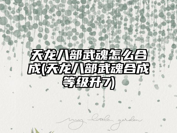 天龙八部武魂怎么合成(天龙八部武魂合成等级升7)