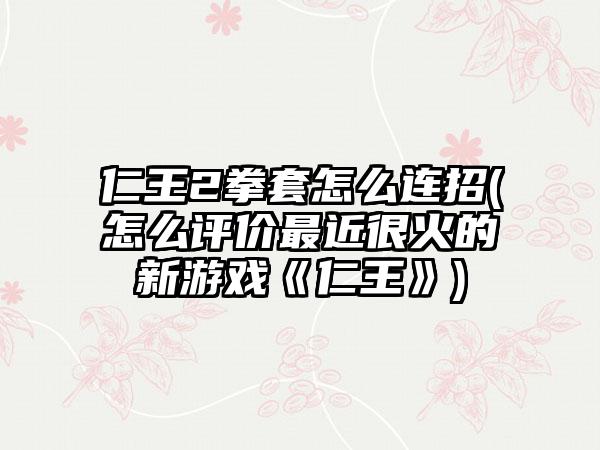 仁王2拳套怎么连招(怎么评价最近很火的新游戏《仁王》)