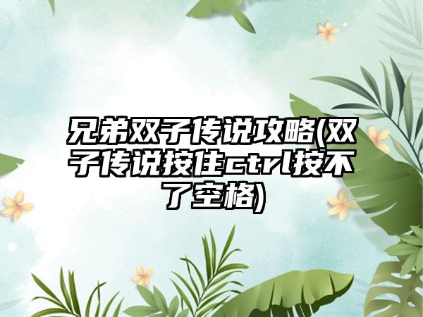 兄弟双子传说攻略(双子传说按住ctrl按不了空格)