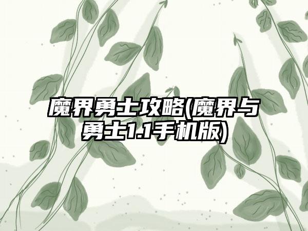 魔界勇士攻略(魔界与勇士1.1手机版)