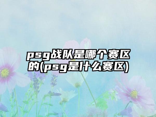psg战队是哪个赛区的(psg是什么赛区)