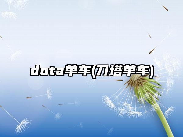 dota单车(刀塔单车)