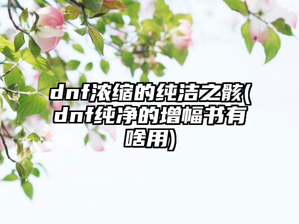 dnf浓缩的纯洁之骸(dnf纯净的增幅书有啥用)