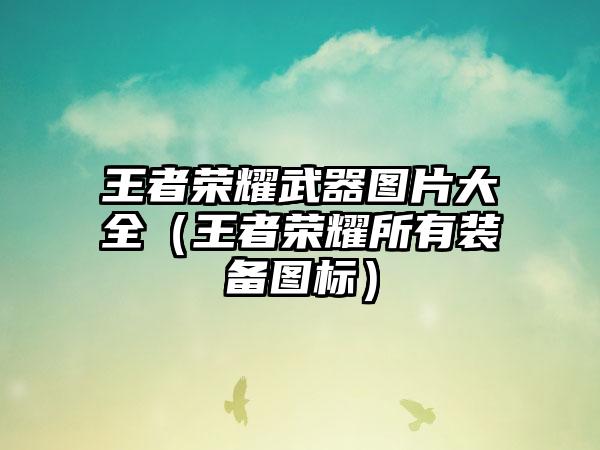 王者荣耀武器图片大全（王者荣耀所有装备图标）