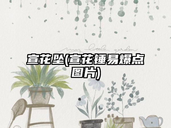 宣花坠(宣花锤易爆点图片)