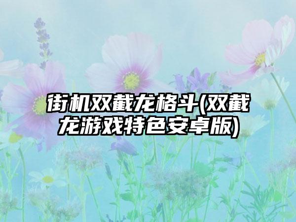 街机双截龙格斗(双截龙游戏特色安卓版)