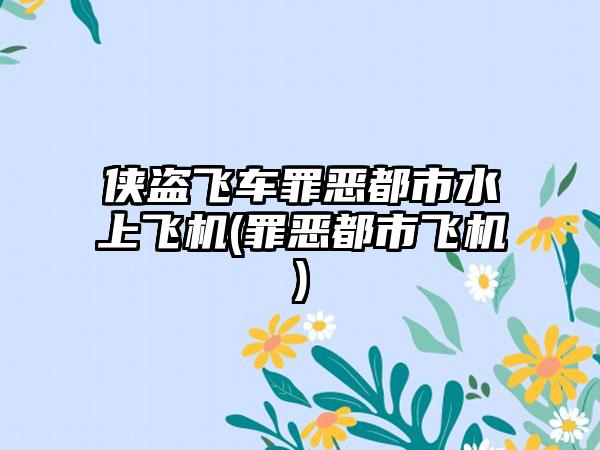 侠盗飞车罪恶都市水上飞机(罪恶都市飞机)