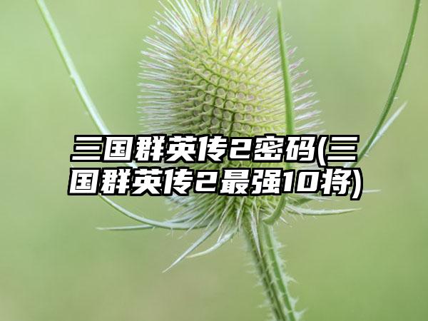 三国群英传2密码(三国群英传2最强10将)