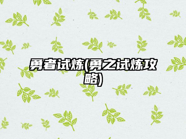 勇者试炼(勇之试炼攻略)