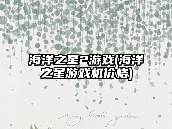 海洋之星2游戏(海洋之星游戏机价格)