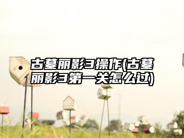 古墓丽影3操作(古墓丽影3第一关怎么过)