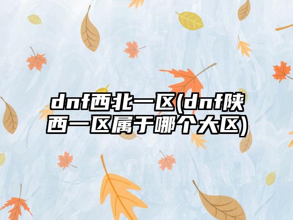 dnf西北一区(dnf陕西一区属于哪个大区)