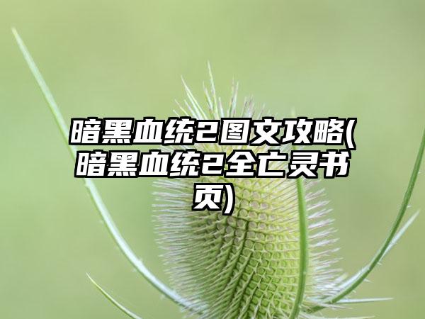暗黑血统2图文攻略(暗黑血统2全亡灵书页)