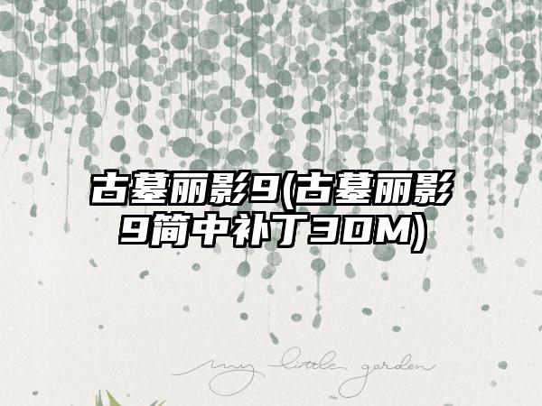 古墓丽影9(古墓丽影9简中补丁3DM)