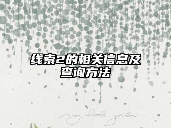 线索2的相关信息及查询方法