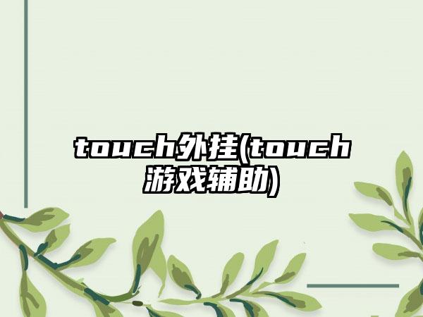touch外挂(touch游戏辅助)