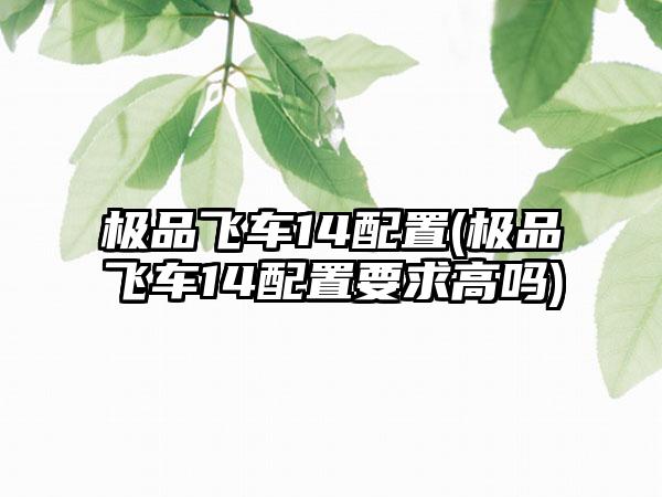 极品飞车14配置(极品飞车14配置要求高吗)