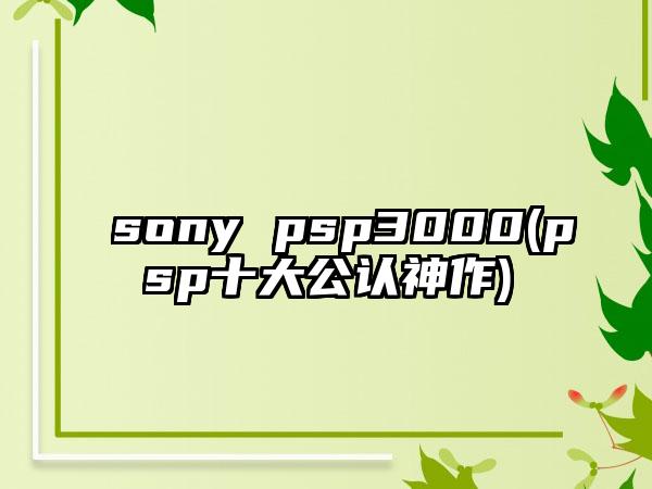 sony psp3000(psp十大公认神作)