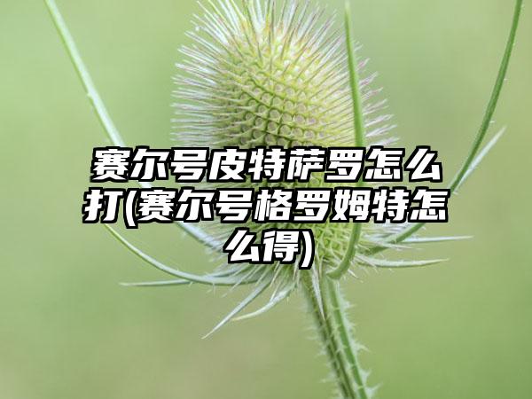 赛尔号皮特萨罗怎么打(赛尔号格罗姆特怎么得)