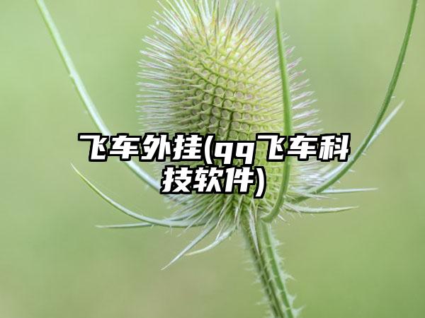 飞车外挂(qq飞车科技软件)