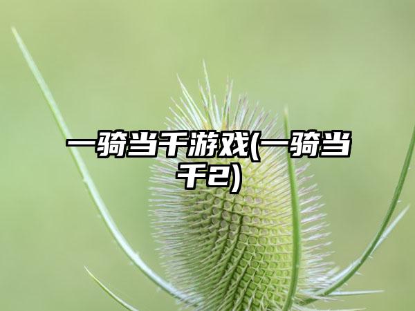 一骑当千游戏(一骑当千2)