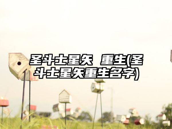 圣斗士星矢 重生(圣斗士星矢重生名字)