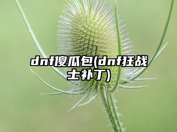 dnf傻瓜包(dnf狂战士补丁)