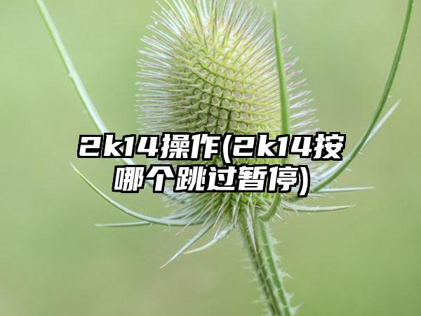2k14操作(2k14按哪个跳过暂停)