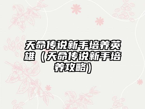 天命传说新手培养英雄（天命传说新手培养攻略）