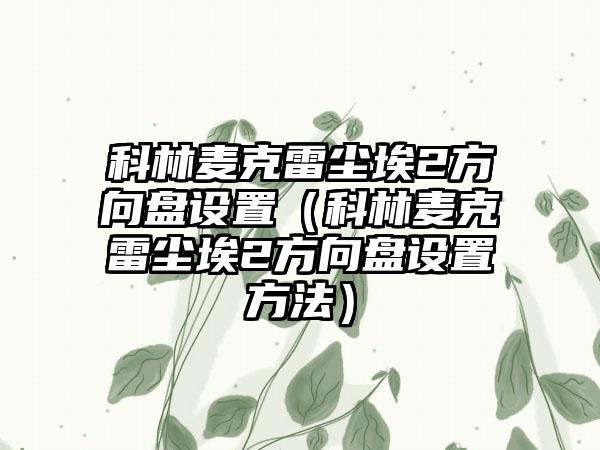 科林麦克雷尘埃2方向盘设置(科林麦克雷尘埃2方向盘设置方法)