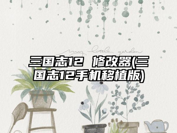 三国志12 修改器(三国志12手机移植版)