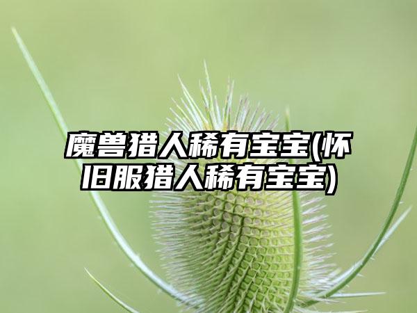 魔兽猎人稀有宝宝(怀旧服猎人稀有宝宝)
