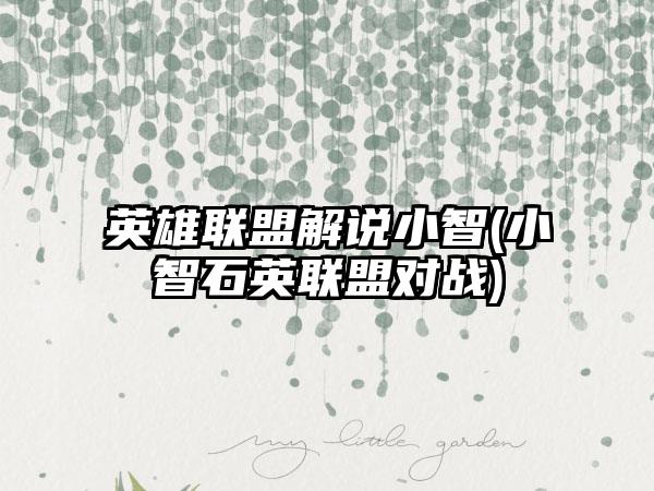 英雄联盟解说小智(小智石英联盟对战)