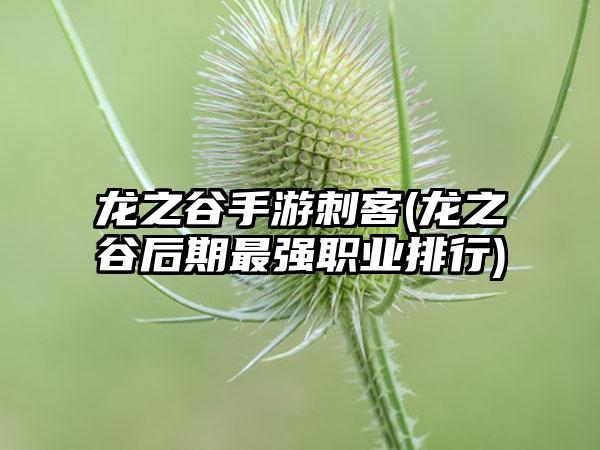 龙之谷手游刺客(龙之谷后期最强职业排行)