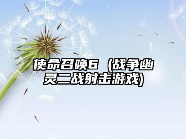 使命召唤6 (战争幽灵二战射击游戏)