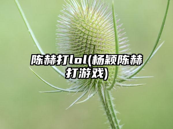 陈赫打lol(杨颖陈赫打游戏)