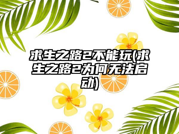 求生之路2不能玩(求生之路2为何无法启动)
