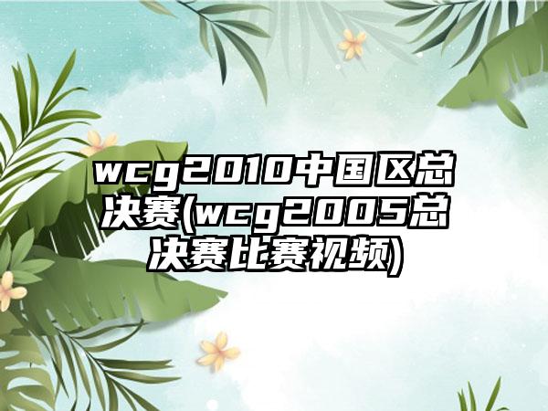 wcg2010中国区总决赛(wcg2005总决赛比赛视频)