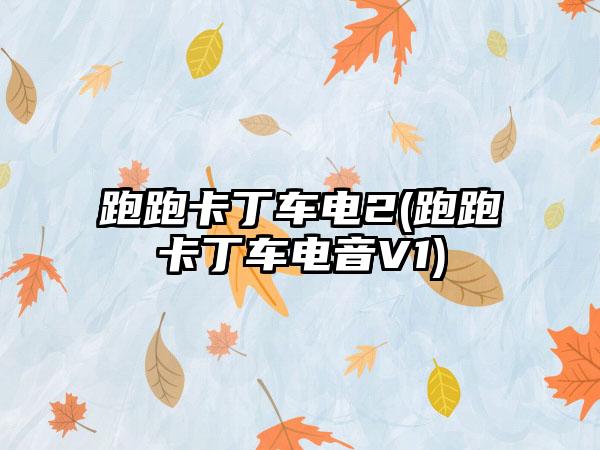 跑跑卡丁车电2(跑跑卡丁车电音V1)