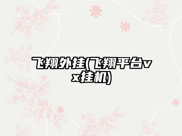 飞翔外挂(飞翔平台vx挂机)