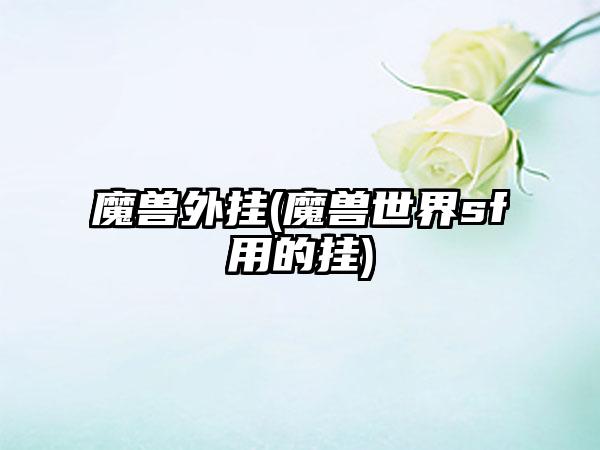 魔兽外挂(魔兽世界sf用的挂)