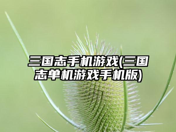 三国志手机游戏(三国志单机游戏手机版)